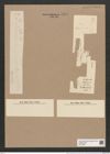 Thalassiothrix longissima Cleve et Grun. (de-Toni-Nr.: Genus 67, Species 2670) Zeichnungen Sammlung Grunow Nr. 5451 (NHMW-BOT-W0373868)